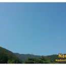 (주)보나비 이미지