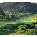 지산조경 이미지