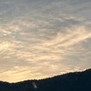 두찜용인 - 용인시 처인구 명지로60번길 37-12 | 두찜용인