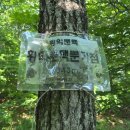 덕산1교 Daum카페