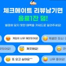 체크메이트보드게임