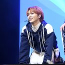 러블리 강아지 이미지