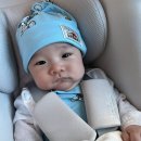 와와로 | 우리아기 백일잔치 끝 (울산무료백일상 가족모임 호호바다/백일 떡 준비/상차림 떡과일의미)