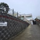 금전길 | 25년 8월 둘째주 먹음 사진일기