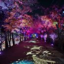 구로-구로-구로-9 이미지