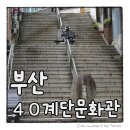 40계단문화관광테마거리 | 부산 뚜벅이 여행 가볼만한곳 남포동 40계단 문화관