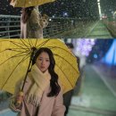 선재로 이미지