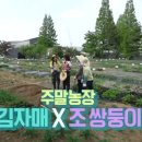 정은농장 이미지