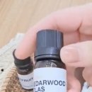 바로펫살롱 이미지