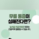 서울튼튼연합의원 이미지