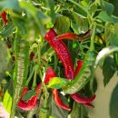 대훈농장 이미지