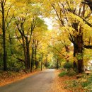 의술농장 이미지