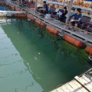 신진좌대 이미지