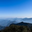 판도라의 숲 | 한국에서 4시간만에 만나는 판도라의 숲, 장가계 여행 기록
