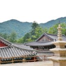 합천명품돼지 네이버블로그