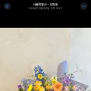 블룸더소브니