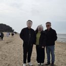목섬 Daum카페