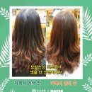 리안헤어 네이버블로그