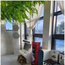 쥬디스펜션 이미지