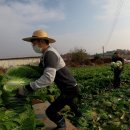 성은농장 이미지