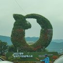 풍기토종인삼시장 이미지