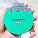 이지듀 기미 매트팩트 봄여름용 한가인 커버 팩트 솔직리뷰 / 쿠션과 팩트 비교 / EGF성분의 기능