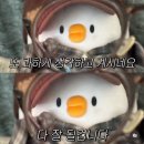 엘앤제이왁싱엔 레푸스