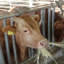 트렌드핏 서면점 이미지