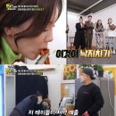 아미피아 이미지