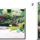 희봉선생 이미지