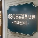 항동푸른숲동물병원 이미지