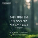 마태복음 8장 17절 이미지