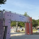 싱글즈 페스티벌 SRFF 2026 후기