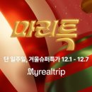 마이마리