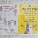 똥강아지 수제간식 이미지