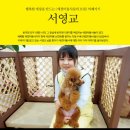 애니멀 살롱 이미지