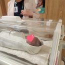 맘스아이스 | 병원 둘째 경산맘 제왕절개 출산기록, 2박 2인실&4박 1인실 A타입 입원후기, 맘스보네르 가슴마사지 후기