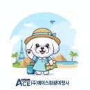 (주)아침여행사 이미지