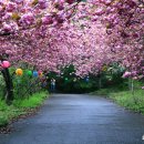 낭만여행 이미지