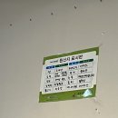황금꽃감 이미지