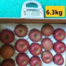 정 농원 이미지