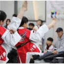 거룡태권도2관 이미지