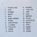 동탄센트럴파크 축구장 | 경기도 당일치기 데이트 동탄 센트럴파크 공영주차장 요금 가을 단풍 힐링 피크닉 가볼만한곳