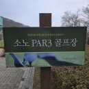 홍천 소노펠리체 비발디파크 파3 골프장 D멤버스G클럽카드 후기