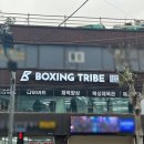 복싱트라이브 이미지