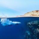 학교법인 울산공업학원 울산대학교병원 이미지