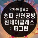 [03/20] 프리저브드 플라워 하바리움 - 원데이 클래스 | 서울 공방체험 : 퍼그린 원데이클래스 후기