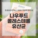 푸드코리아 | 유산균 나우푸드코리아 BBR700억 콜레스테롤 솔직 후기