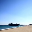 장사해수욕장(솔밭) 이미지