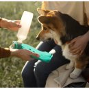 라파엘동물병원 이미지